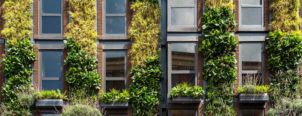 apartment building with plants growing on the outside