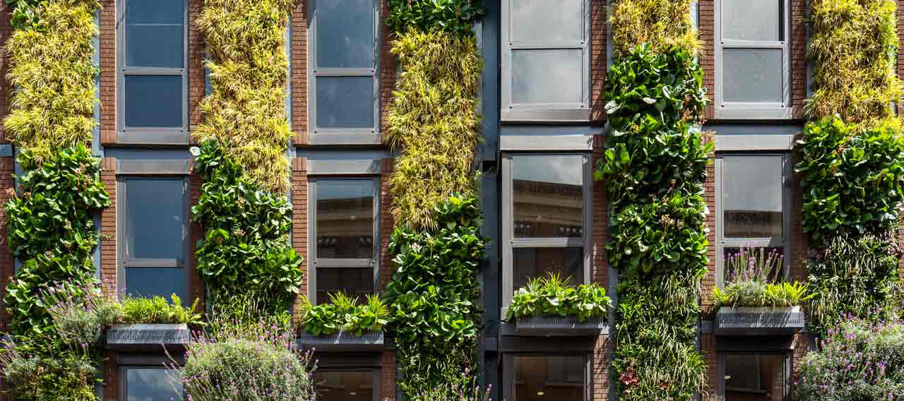 apartment building with plants growing on the outside
