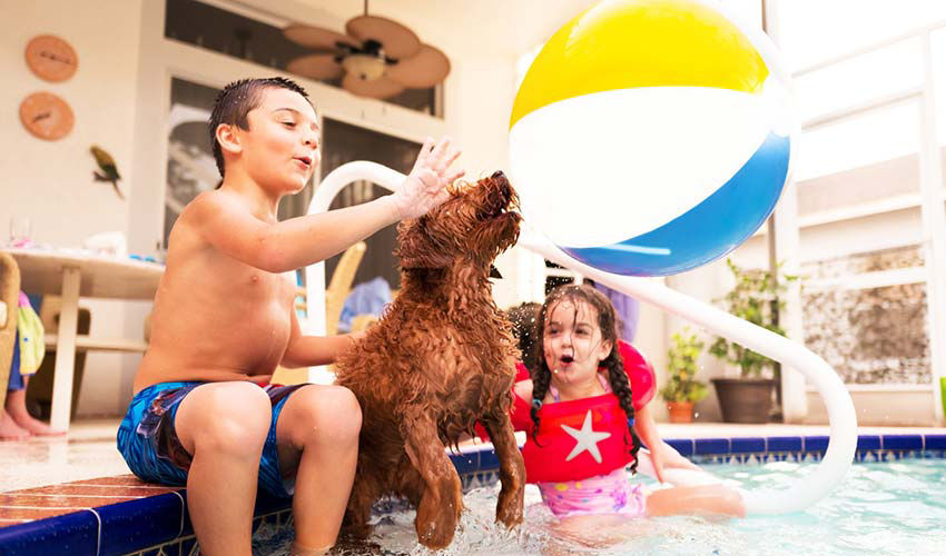 children playing in a pool